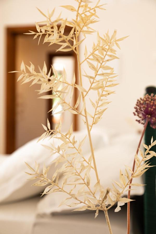 Pozzo Traverso Casale ลีโปราโน ภายนอก รูปภาพ